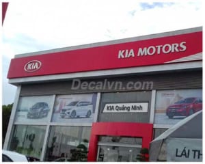 dán kính cho showroom decal full cát